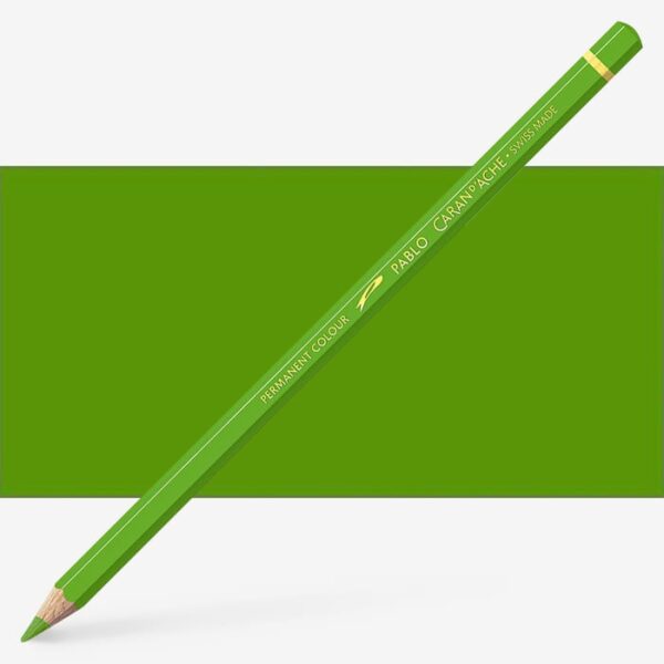 LAPS CARANDACHE PABLO PERMANENT COLOUR 016 KHAKI GREEN